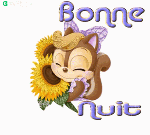 gif bonne nuit ecureuil